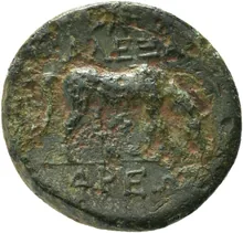 coin rev