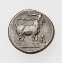 coin rev