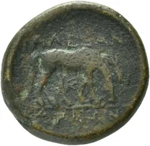 coin rev