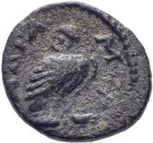 coin rev