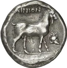coin rev