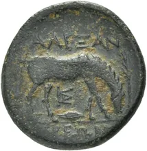 coin rev