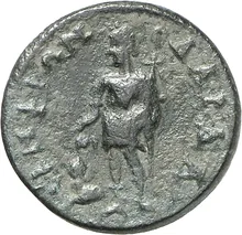 coin rev