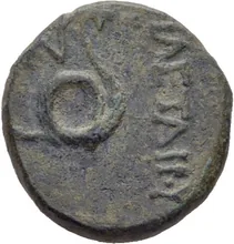 coin rev
