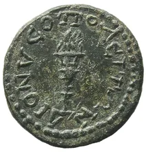coin rev