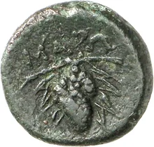 coin rev