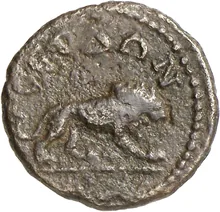 coin rev