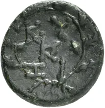 coin rev