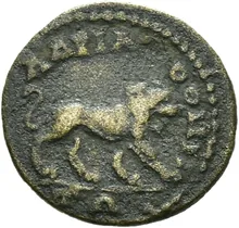 coin rev