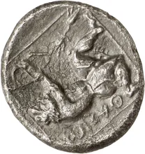 coin rev