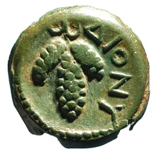 coin rev