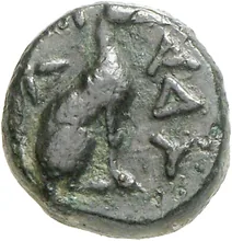 coin rev