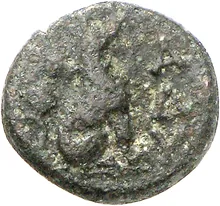 coin rev