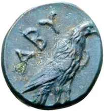 coin rev