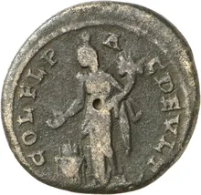 coin rev