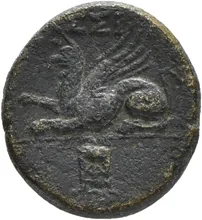 coin rev