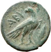 coin rev