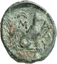 coin rev