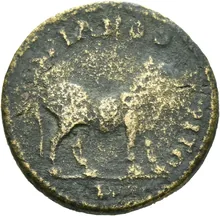 coin rev