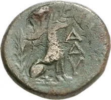coin rev