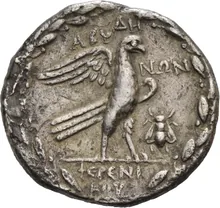 coin rev