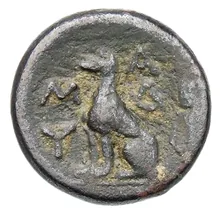 coin rev