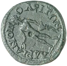 coin rev