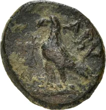 coin rev