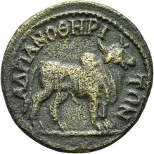 coin rev