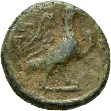 coin rev