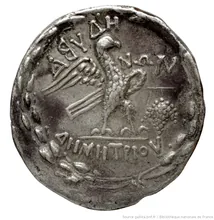 coin rev
