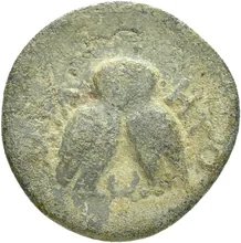 coin rev