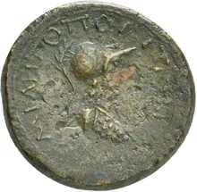 coin rev