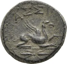 coin rev