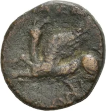 coin rev
