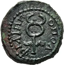 coin rev