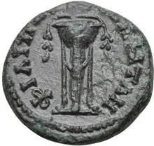 coin rev