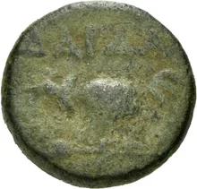 coin rev