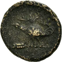 coin rev