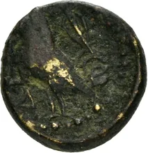 coin rev