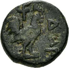 coin rev