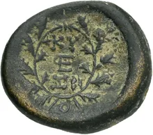 coin rev