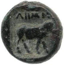 coin rev