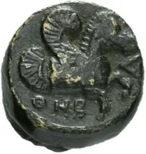coin rev