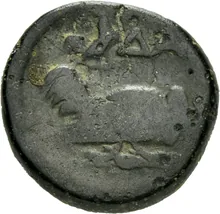 coin rev