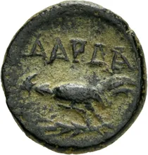 coin rev