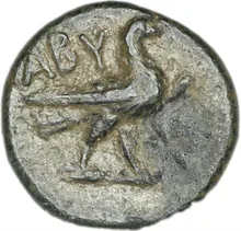 coin rev