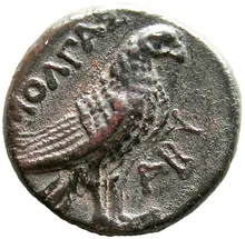 coin rev