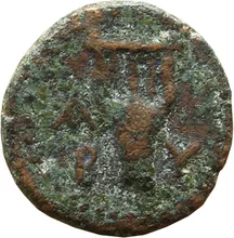 coin rev