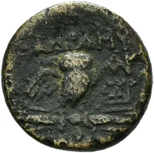 coin rev